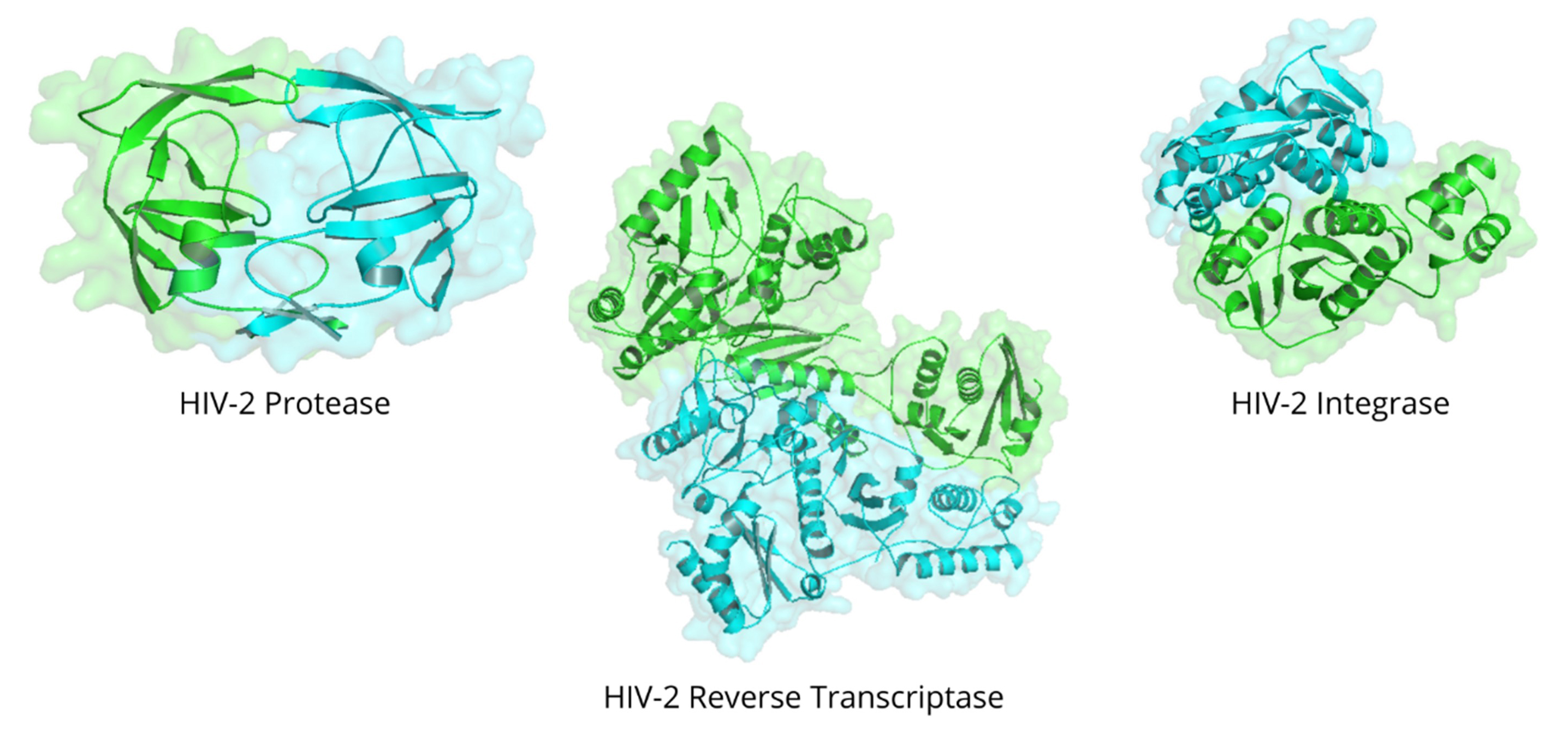 Figure 2